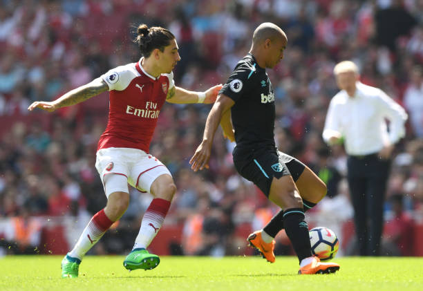 雄鹿强势的 雄鹿强势的